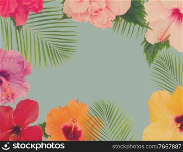 tropical fresh flowers and leaves - frame of fresh multicilored hibiscus flowers and exotic palm leaves on blue, retro toned. orange hibiscus flower