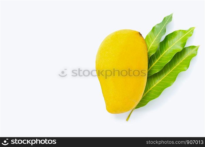 Tropical fruit, Mango on white background. Copy space