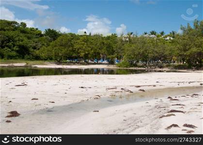 tropical green lake next to a sandy beach, Antigua