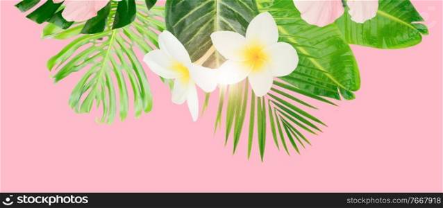 Tropical green leaves and flowers card, banner with copy space on pink summer background. Tropical green leaves