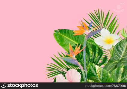 Tropical green leaves and flowers over pink background, banner with copy space. Tropical green leaves