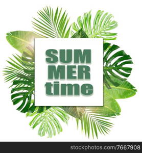Tropical green leaves with summer time words layout isolated on white background. Tropical green leaves