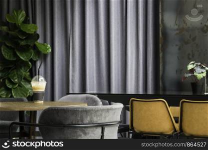 Tropical green plant interior of coffee shop, stock photo