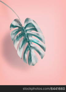 Tropical hanging Monstera leaf at pastel pink background, summer background with copy space for design