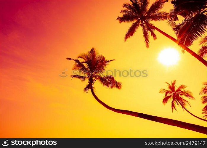 Tropical island beach at warm vivid colorful sunset with palm trees hanging over the water with copy space