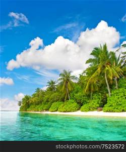 Tropical island beach. Palm trees. Turquoise water. Blue sky