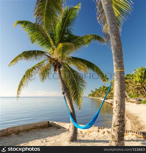 Tropical Island Beach With Hammock. Tropical island beach with hammock suspended on palmtrees