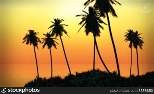 Tropical Island Sunset with Palms and Ocean Surf and Fog. Themes: nature, vacation, travel, destinations, ocean, tropical, summer, paradise, tourism...