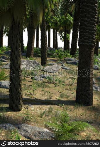 Tropical island with palm trees and plants, 3D Illustration.