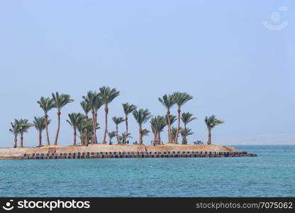 Tropical island with palm trees and promenade ship on sea. Paradise island in Red sea. Tropical resort. Vacations concept. Marine panorama with beach palm trees and sea. Tropical island with palm trees and sea. Paradise island in Red sea