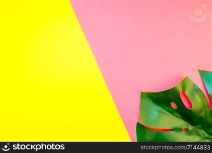 Tropical jungle palm monstera leaves on bright yellow and pink paper background. Summer creative flat lay concept template for text
