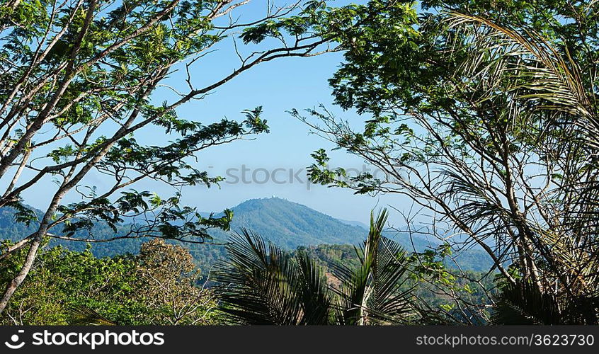 Tropical landscape in Phuket Thailand