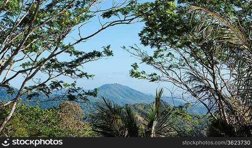 Tropical landscape in Phuket Thailand