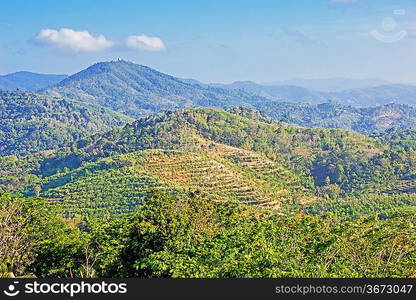 Tropical landscape in Phuket Thailand