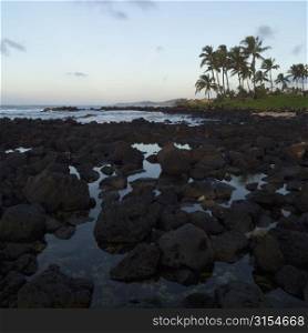 Tropical Landscape of Kauai and Molokai, Hawaii