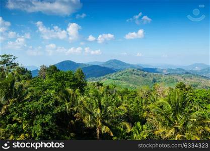 Tropical landscape with mountains. Tropical landscape with mountains and palm tree forest
