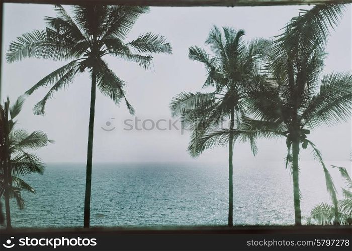 Tropical landscape with palm trees and the sea
