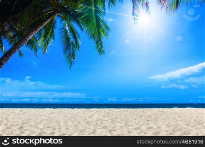 Tropical landscape with palm, tropical beach and sun