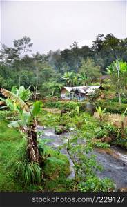 Tropical landscape with rocky river and typical rural Indonesian house in the lush vegetation of the Jungle in West Java