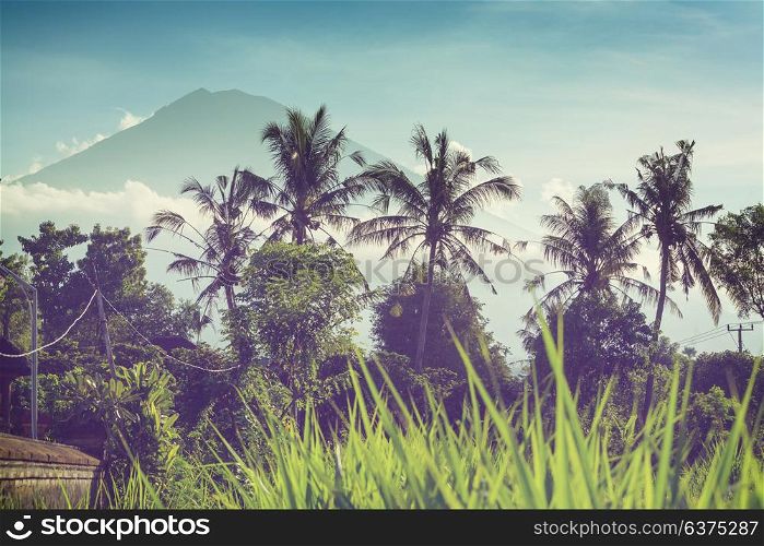 Tropical landscapes inIsland of Bali, Indonesia