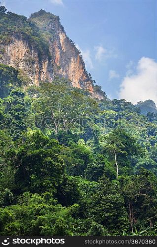 Tropical landscapes,Vietnam