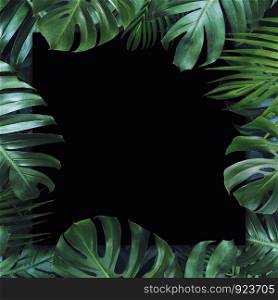 Tropical leaves and blank paper black background