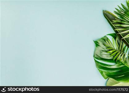 Tropical leaves and flowers on blue background, minimal concept, flat lay