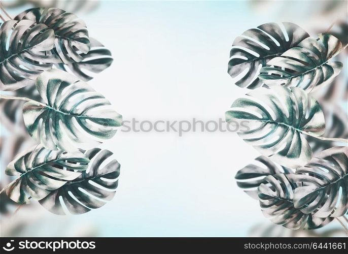 Tropical leaves background . Branches with Monstera leaves at blue sky, frame, banner, template