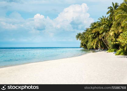 Tropical Maldives beach - Vacation Concept