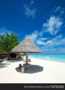 tropical Maldives island with white sandy beach and sea