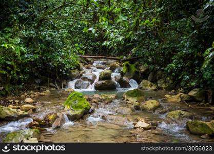 Tropical mountain river in the jungle at day. Tropical mountain river in the jungle