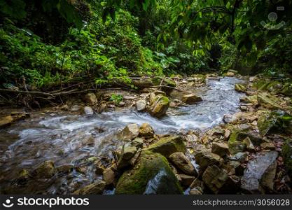 Tropical mountain river in the jungle at day. Tropical mountain river in the jungle