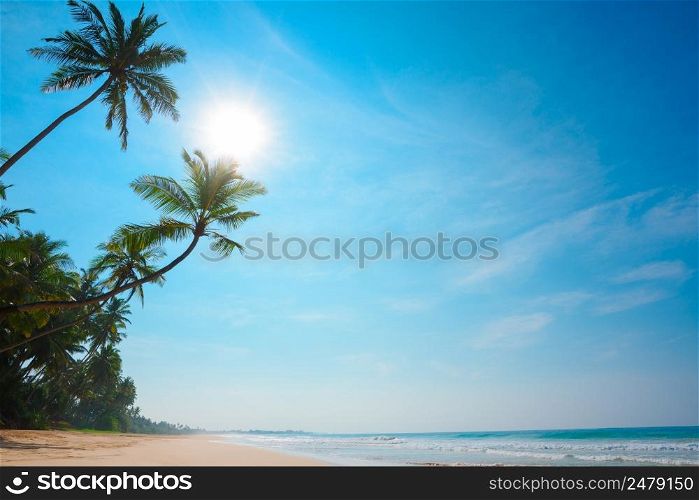 Tropical ocean shore with coconut palm trees. Empty vacation island beach.