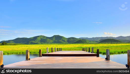 Tropical of yellow grass field water mountain natural landscape with sunny in Thailand.
