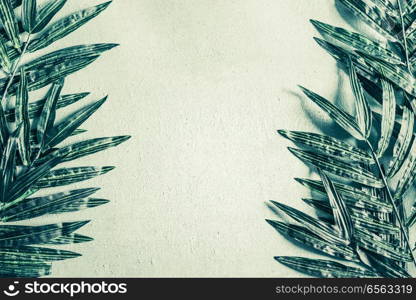 Tropical Palm leaves on light green background frame, top view