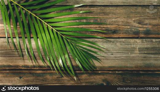 Tropical palm leaves on wood background. Summer concept. Flat lay, top view, copy space