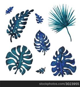 Tropical Palm leaves, watercolor illustration. Set of palm leaves. Hand painted watercolor illustration