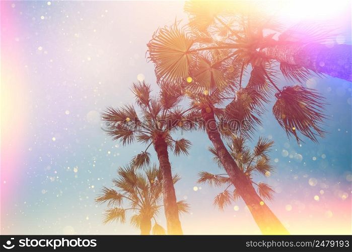 Tropical palm stylized with light leaks and golden glitter beach party background