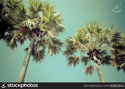 Tropical Palm tree Retro vintage style