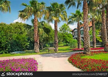 tropical palm trees and flower beds