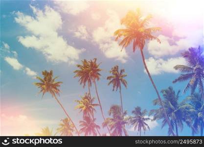 Tropical palm trees at sunny summer day vintage color toned and film light leaks retro stylized