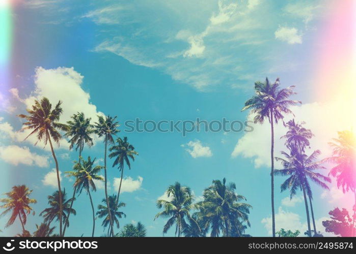 Tropical palm trees at sunny summer day, vintage film stylized with film light leaks