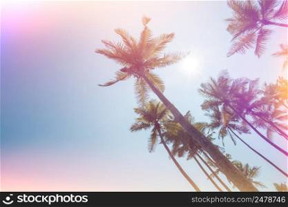 Tropical palm trees at sunny summer day, vintage stylized with retro film light leaks and copy space