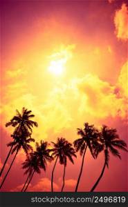 Tropical palm trees at sunset beach with shining sun and colorful clouds as copy space