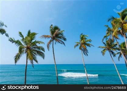 Tropical palm trees over the blue calm ocean on tropical island at sunny clear summer day