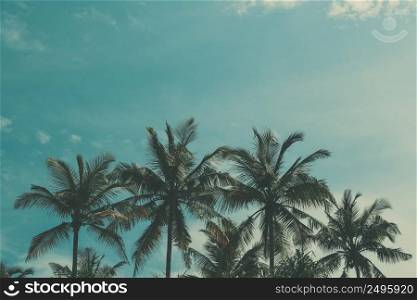 Tropical palm trees over the sky background, vintage toned and retro color stylized