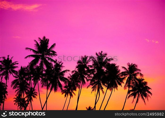 Tropical palm trees silhouettes at sunset