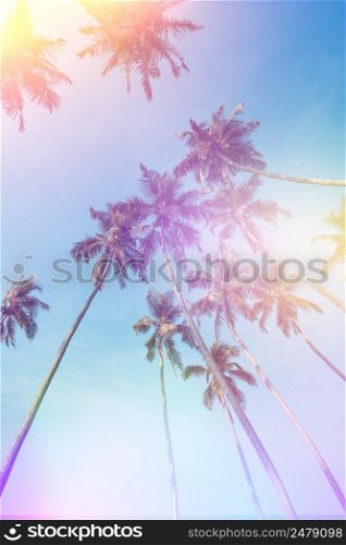 Tropical palm trees vintage color stylized with film light leaks