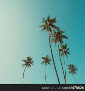 Tropical palms and blue sky vintage color toned and stylized