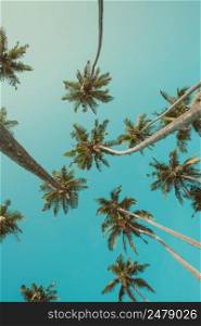 Tropical palms perspective view retro color toned